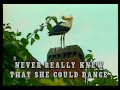 Search Video