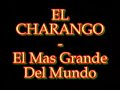 charango: el mas grande del mundo  patrimonio de bolivia