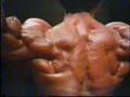 Arnold-Schwarzenegge