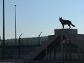 navy, air force and army military working dog handlers at camp arifjan, kuwait are working with their canines to provide security in the country. ... navcent fifth fleet maritime security operations us navy kuwait dog handlers 
