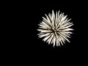 Feuerwerk Peermarkt Schleswig