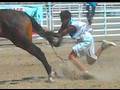 CRAZIEST HORSE RACE I'VE EVER SEEN!