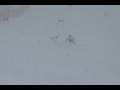 videos de Ford1 08 09 gsr1(1)