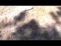 Survival Gardening 11, nuclear war, emergency preparedness