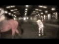 OMG! MYPONYANDI MADE A VIDEO!