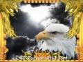 videos de Warrior Music - Eagle Warrior