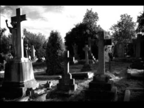 Youtube Video YFnOj3ZTVP0