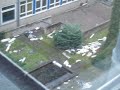 Kyrills Zug durch Alfeld....