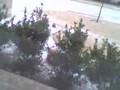 snowing