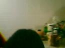 Fiesta de Ivan