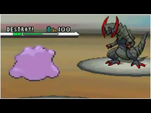 ditto