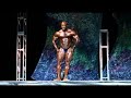Male Bodybuilders