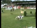 videos de Cortus in Falsterbo 2008