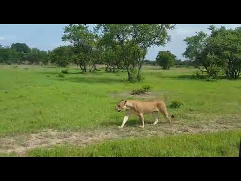 Murchisons Falls National Park
