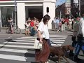 Vojenská přehlídka výročí bitvy u Chlumu 1/2