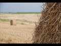 Cesaria Evora - Sodade