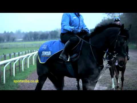 Tony McCoy Sports Personality of the Year