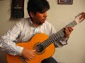 Guitarra tradicional andina - Desde tu separaci�n (Yarav�)