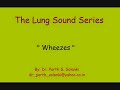 Breath Sounds - Wheezes