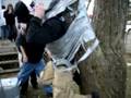 taped to a tree