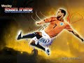 sneijder h sneijder h