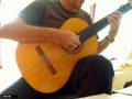 videos de Flower - Masaaki Kishibe