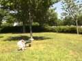 ネイチャーたんけん
