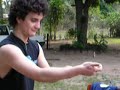 El pomberito