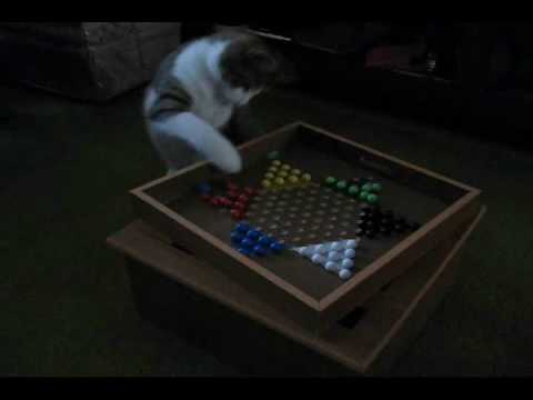 chinese checkers