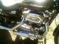 videos de Harley Davidson 1200C
