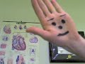 Face-tracking camera  http://www.youtube.com/watch?v=YG97L6GL0Ws&feature=related :)