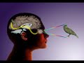 Holographic Universe ( Part 2 0f 2 ) its all illusion
