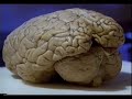 Holographic Universe ( Part 2 0f 2 ) its all illusion