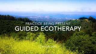 Practice being Present with Guided Ecotherapy