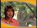Virginia Farm Bureau - Brand Launch