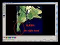 Secret Image Of Pangea