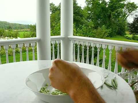 SHELLING BEANS