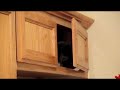 Otto in the Cabinet