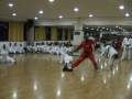 videos de Taekwondo team apuania esibizione villafranca