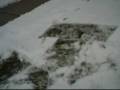 videos de Snow Jonas