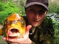 Carp Fishing Australia Part 2