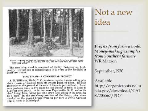 how to collect pine needles