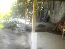 our parents home,884 san jose st. san ignacio subd. ,angeles city 2009