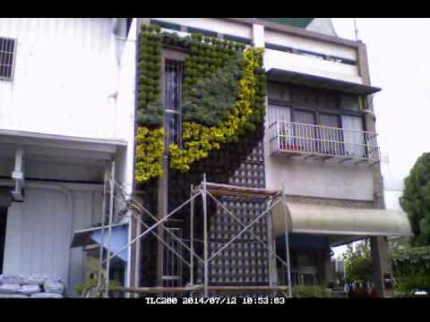 Sheng San Green Wall Kit