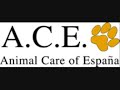 El Refugio Mijas - ACE Charity
