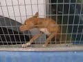 El Refugio Mijas - ACE Charity El Refugio Mijas - ACE Charity