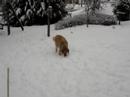 Snow Up My Nose Snow Up My Nose