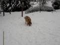 Snow Up My Nose