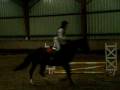 videos de Ogyve,