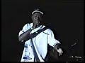 sting-1999-daddy-lizardflourgonred-dragon.html